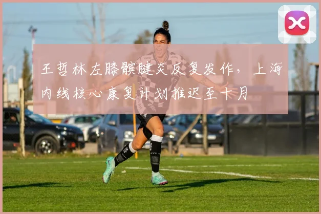 王哲林左膝髌腱炎反复发作,上海内线核心康复计划推迟至十月