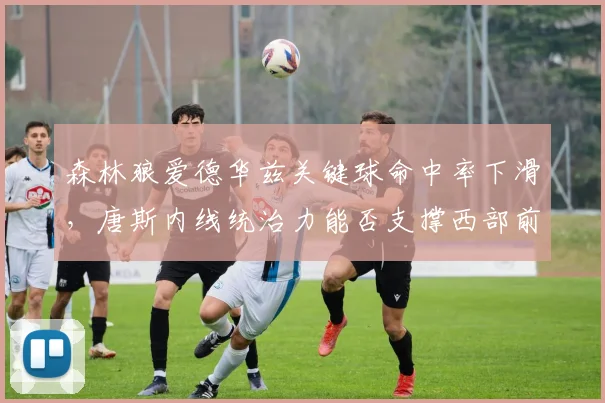 森林狼爱德华兹关键球命中率下滑，唐斯内线统治力能否支撑西部前四？
